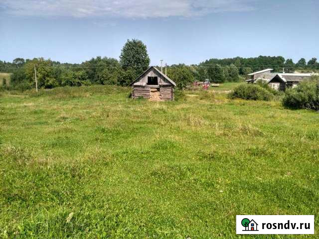 Участок СНТ, ДНП 15 сот. на продажу в Пустошке Пустошка - изображение 1