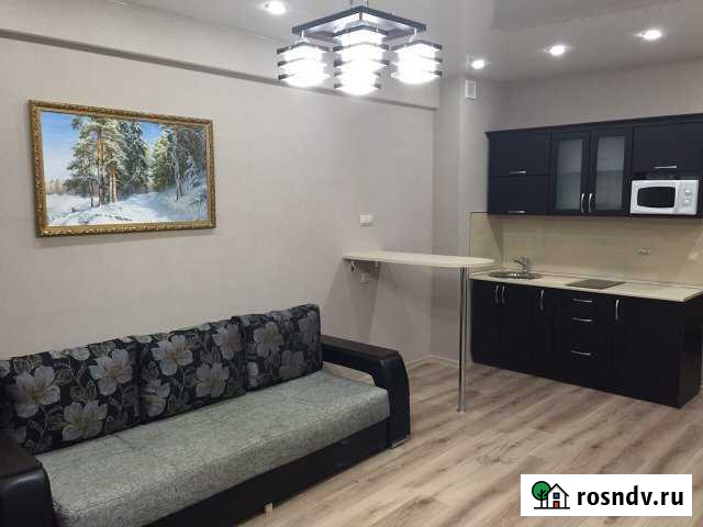 Квартира-студия, 30 м², 8/17 эт. в аренду на длительный срок в Казани Казань - изображение 1