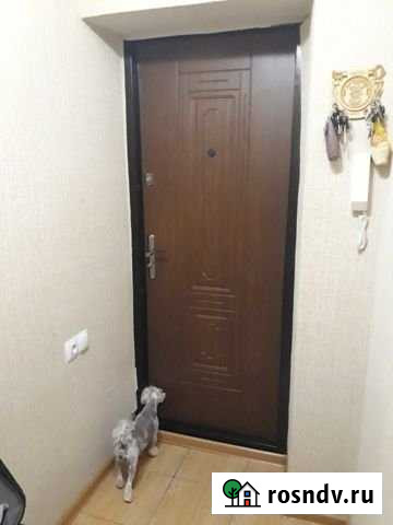 1-комнатная квартира, 30 м², 4/5 эт. на продажу в Балашове Балашов - изображение 1