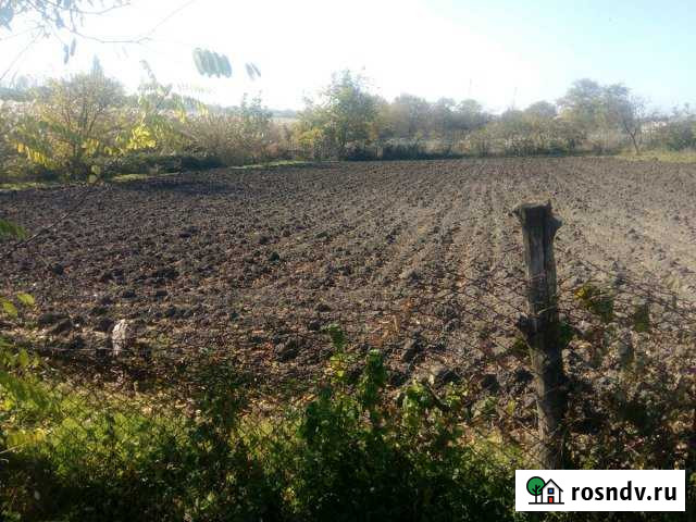 Участок ИЖС 20 сот. на продажу в Платнировской Платнировская - изображение 1