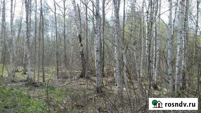 Участок СНТ, ДНП 6 сот. на продажу в Егорьевске Егорьевск - изображение 1