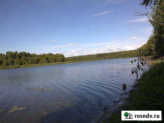 Участок ИЖС 15 сот. на продажу в Пошехонье Пошехонье - изображение 1