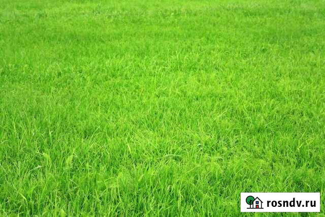 Дача 20 м² на участке 6 сот. на продажу в Сызрани Сызрань - изображение 1