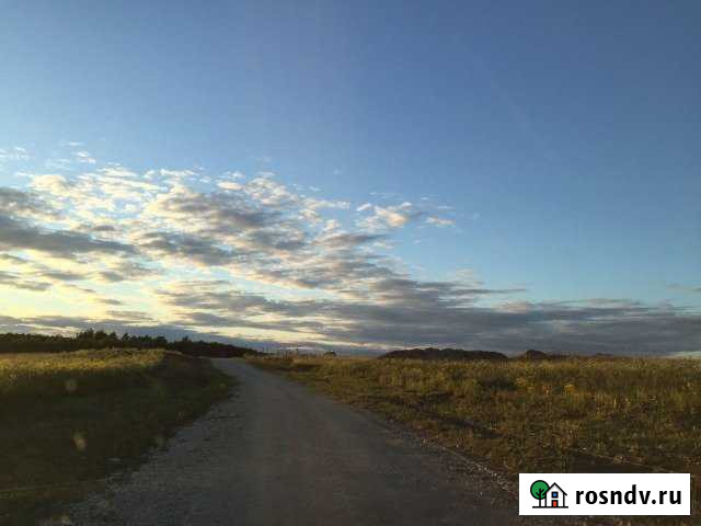 Участок СНТ, ДНП 8 сот. на продажу в Гостилицах Гостилицы - изображение 1