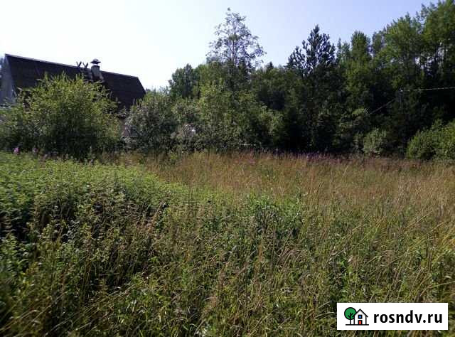 Участок СНТ, ДНП 10 сот. на продажу в Выборге Выборг - изображение 1