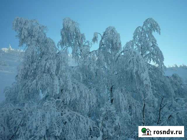 Дом 70 м² на участке 30 сот. в аренду посуточно в Трехгорном Трехгорный - изображение 1