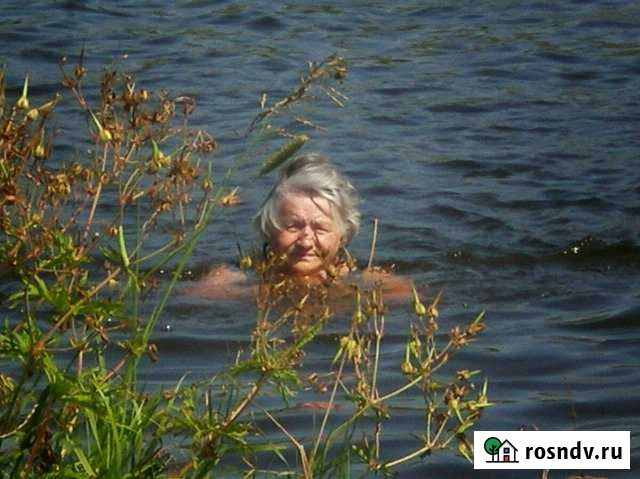 Дом 35 м² на участке 35 сот. на продажу в Переславле-Залесском Переславль-Залесский - изображение 1