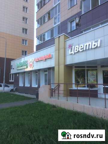 Готовый бизнес Казань - изображение 1