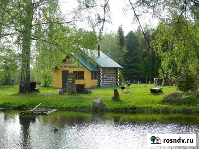 Дом 28 м² на участке 150 сот. в аренду посуточно в Новосибирске Новосибирск - изображение 1