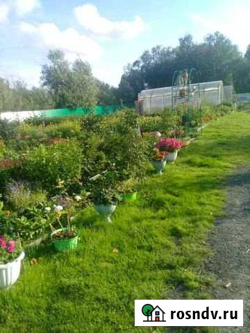 Дача 72 м² на участке 15 сот. на продажу в Лангепасе Лангепас - изображение 1