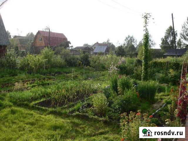 Участок СНТ, ДНП 13 сот. на продажу в Новопетровском Новопетровское - изображение 1