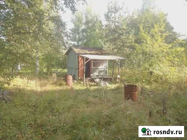 Участок СНТ, ДНП 5 сот. на продажу в Санкт-Петербурге Санкт-Петербург - изображение 1