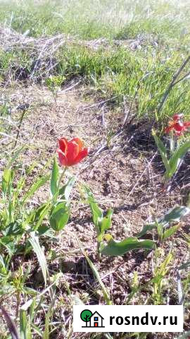 Участок ИЖС 8 сот. на продажу в Култаево Култаево - изображение 1