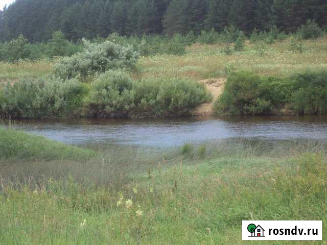 Участок СНТ, ДНП 522 сот. на продажу в Рамешках Рамешки - изображение 1