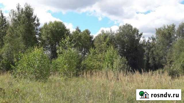 Участок СНТ, ДНП 18 сот. на продажу в Шаховской Шаховская - изображение 1