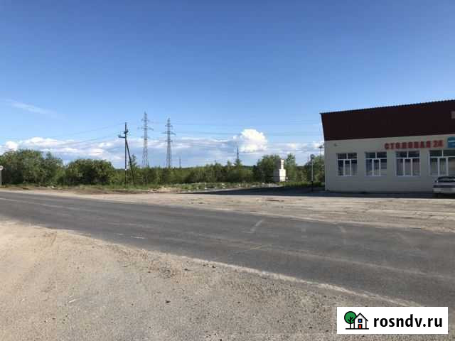 Кафе магазин Дорожник Радужный - изображение 1