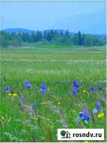 Участок СНТ, ДНП 280 сот. на продажу в Боголюбово Боголюбово - изображение 1