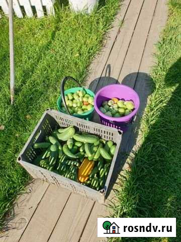 Дача 20 м² на участке 6 сот. на продажу в Усолье-Сибирском Усолье-Сибирское - изображение 1