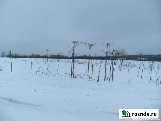 Участок ИЖС 73 сот. на продажу в Зубцове Зубцов - изображение 1