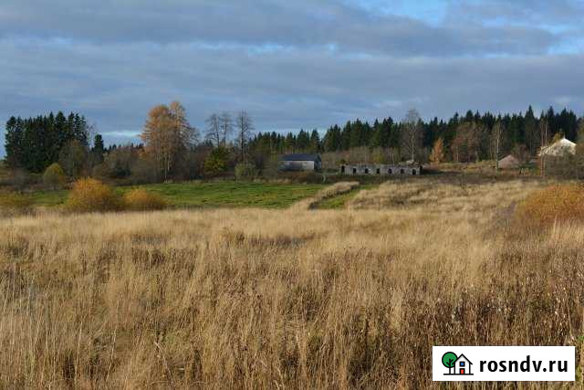 Участок СНТ, ДНП 25 сот. на продажу в Лахденпохье Лахденпохья - изображение 1