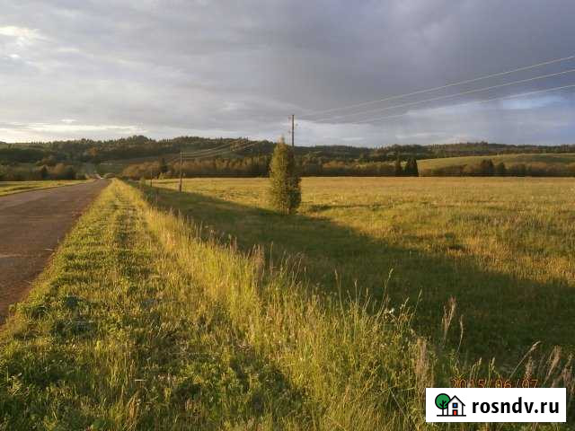 Участок СНТ, ДНП 1820 сот. на продажу в Чернушке Чернушка - изображение 1