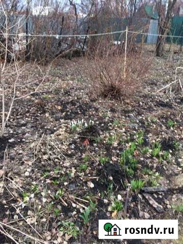 Участок СНТ, ДНП 5 сот. на продажу в Кемерово Кемерово - изображение 1