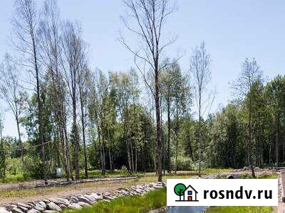Участок ИЖС 10 сот. на продажу в Песочном Песочное - изображение 1
