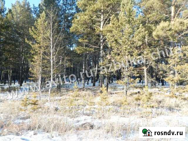 Участок СНТ, ДНП 7 сот. на продажу в Чите Чита - изображение 1