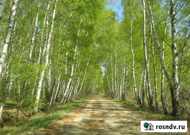 Участок СНТ, ДНП 10 сот. на продажу в Первомайском Московской области Первомайский - изображение 1