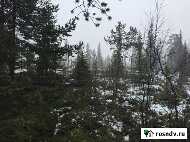 Участок СНТ, ДНП 6 сот. на продажу в Молочном Мурманской области Молочный - изображение 1