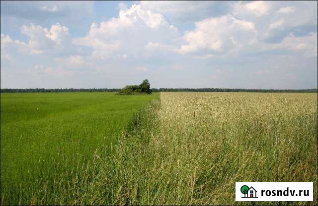 Участок СНТ, ДНП 6200 сот. на продажу в Железногорске Красноярского края Железногорск - изображение 1