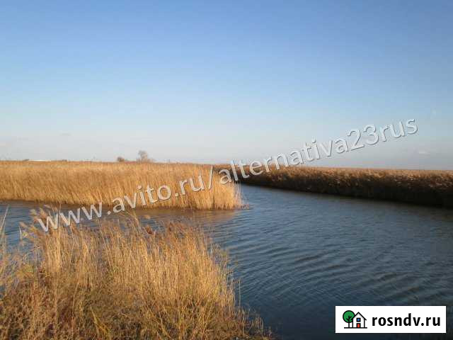 Участок СНТ, ДНП 56 сот. на продажу в Черноерковской Черноерковская - изображение 1