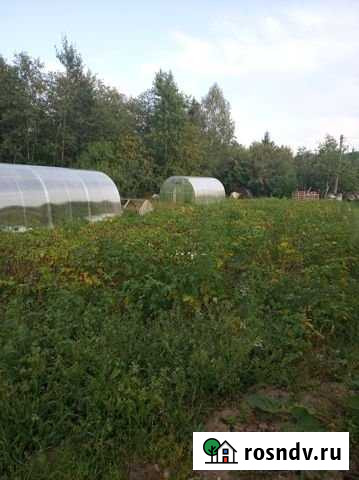 Участок СНТ, ДНП 6 сот. на продажу в Волосово Волосово - изображение 1