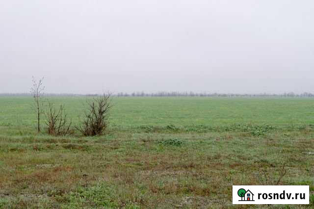 Участок СНТ, ДНП 526 сот. на продажу в Октябрьском Республики Крым Октябрьское - изображение 1