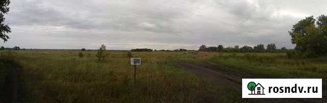 Участок СНТ, ДНП 4000 сот. на продажу в Усть-Чарышской Пристани Усть-Чарышская Пристань - изображение 1