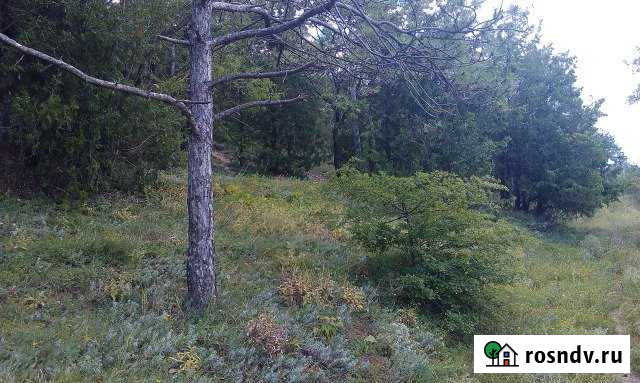 Участок ИЖС 10 сот. на продажу в Феодосии Феодосия - изображение 1