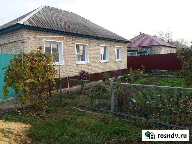 Дом 90 м² на участке 16 сот. на продажу в Касторном Касторное - изображение 1