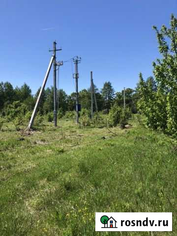 Участок СНТ, ДНП 100 сот. на продажу в Воронеже Воронеж - изображение 1