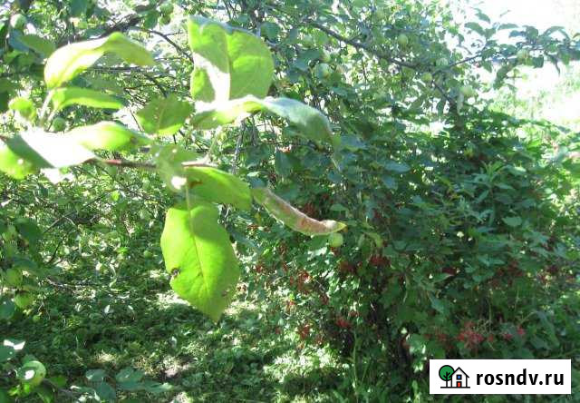 Участок СНТ, ДНП 6 сот. на продажу в Рязани Рязань - изображение 1