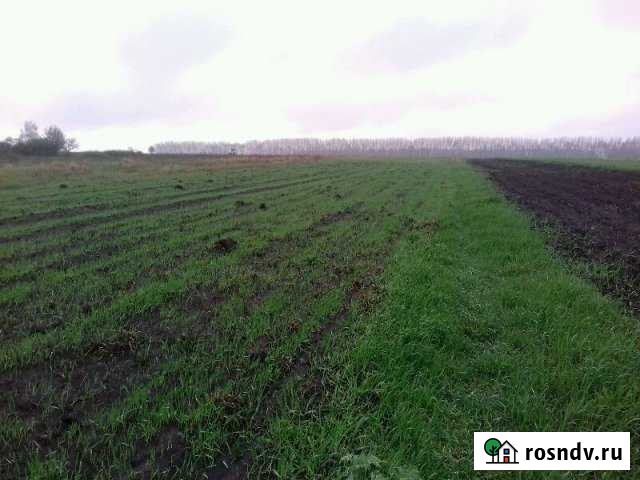 Участок ИЖС 30 сот. на продажу в Рамони Рамонь - изображение 1