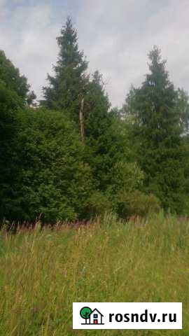 Участок СНТ, ДНП 609 сот. на продажу в Вязьме Вязьма - изображение 1