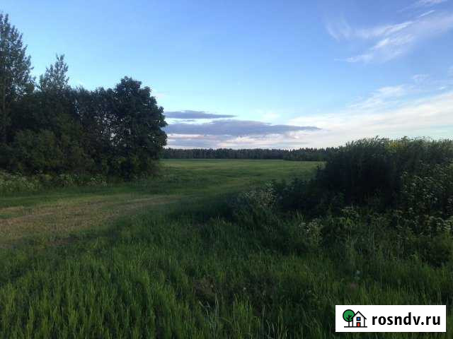 Участок ИЖС 20 сот. на продажу в Бегуницах Бегуницы - изображение 1