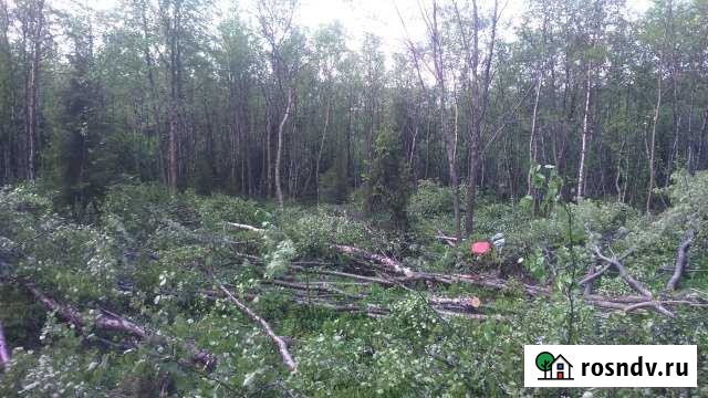 Участок ИЖС 15 сот. на продажу в Мурманске Мурманск - изображение 1