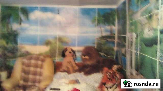 Дом 47 м² на участке 16 сот. на продажу в Курджиново Курджиново - изображение 1