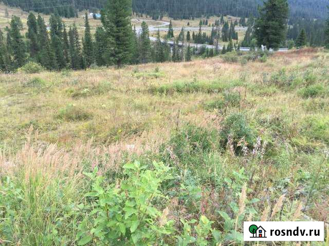 Участок СНТ, ДНП 70 сот. на продажу в Ермаковском Ермаковское - изображение 1