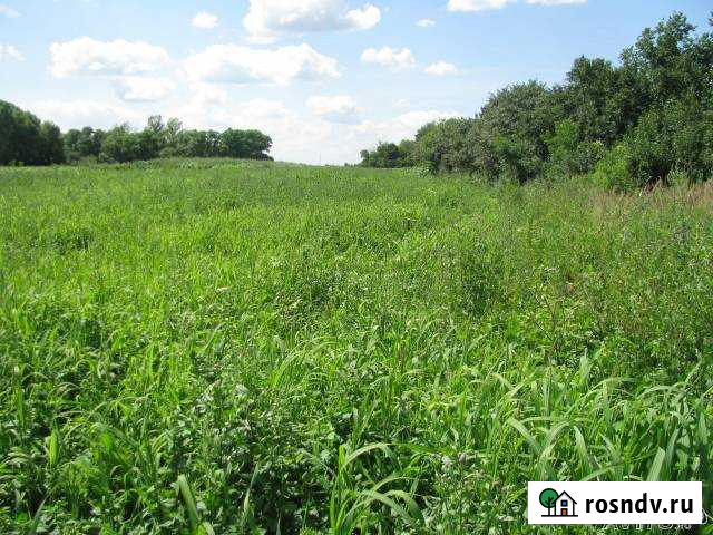 Участок ИЖС 29 сот. на продажу в Старом Осколе Старый Оскол - изображение 1