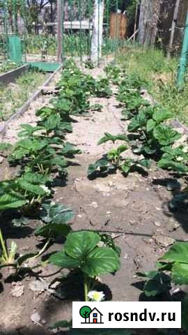 Дом 50 м² на участке 5 сот. на продажу в Сулаке Сулак - изображение 1