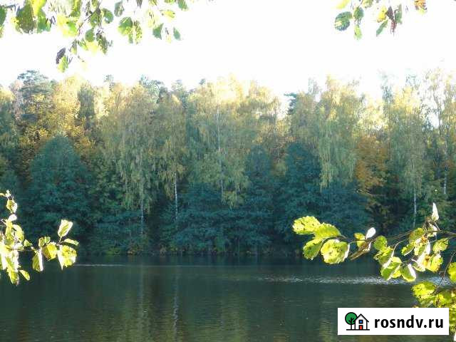 Участок СНТ, ДНП 200 сот. на продажу в Ржеве Ржев - изображение 1