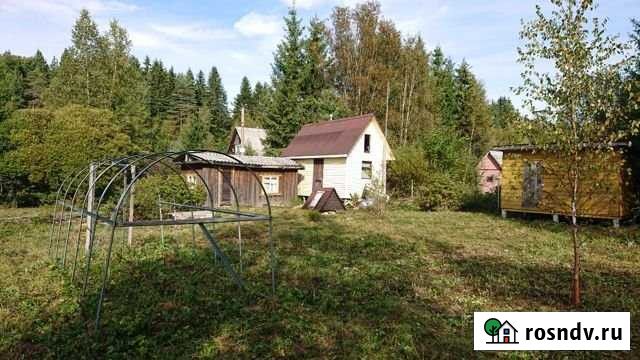 Участок СНТ, ДНП 8 сот. на продажу в Рощино Ленинградской области Рощино - изображение 1