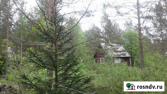 Участок СНТ, ДНП 10 сот. на продажу в Санкт-Петербурге Санкт-Петербург - изображение 1